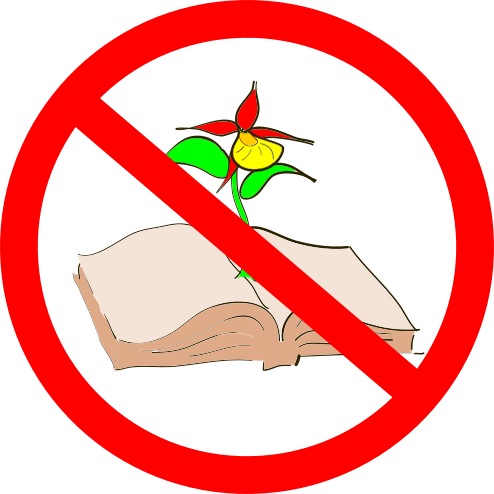 Insegnanti, non insegnate!